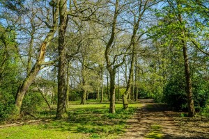 Images for Blackwood Hall, Skipwith, York