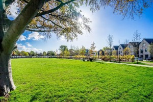 Images for The Fern, Plot 100 Lowfield Green, Acomb, York