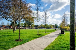 Images for Rosemary Road, Lowfield Green, York