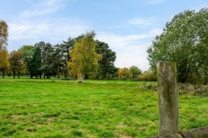 Images for Elmfield Avenue, York