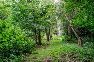 Images for Forge Lane, Deighton, York