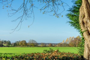 Images for Back Lane, Bilbrough, York