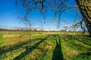 Images for Laytham, York