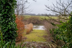 Images for The Poplars, Newton On Ouse, York